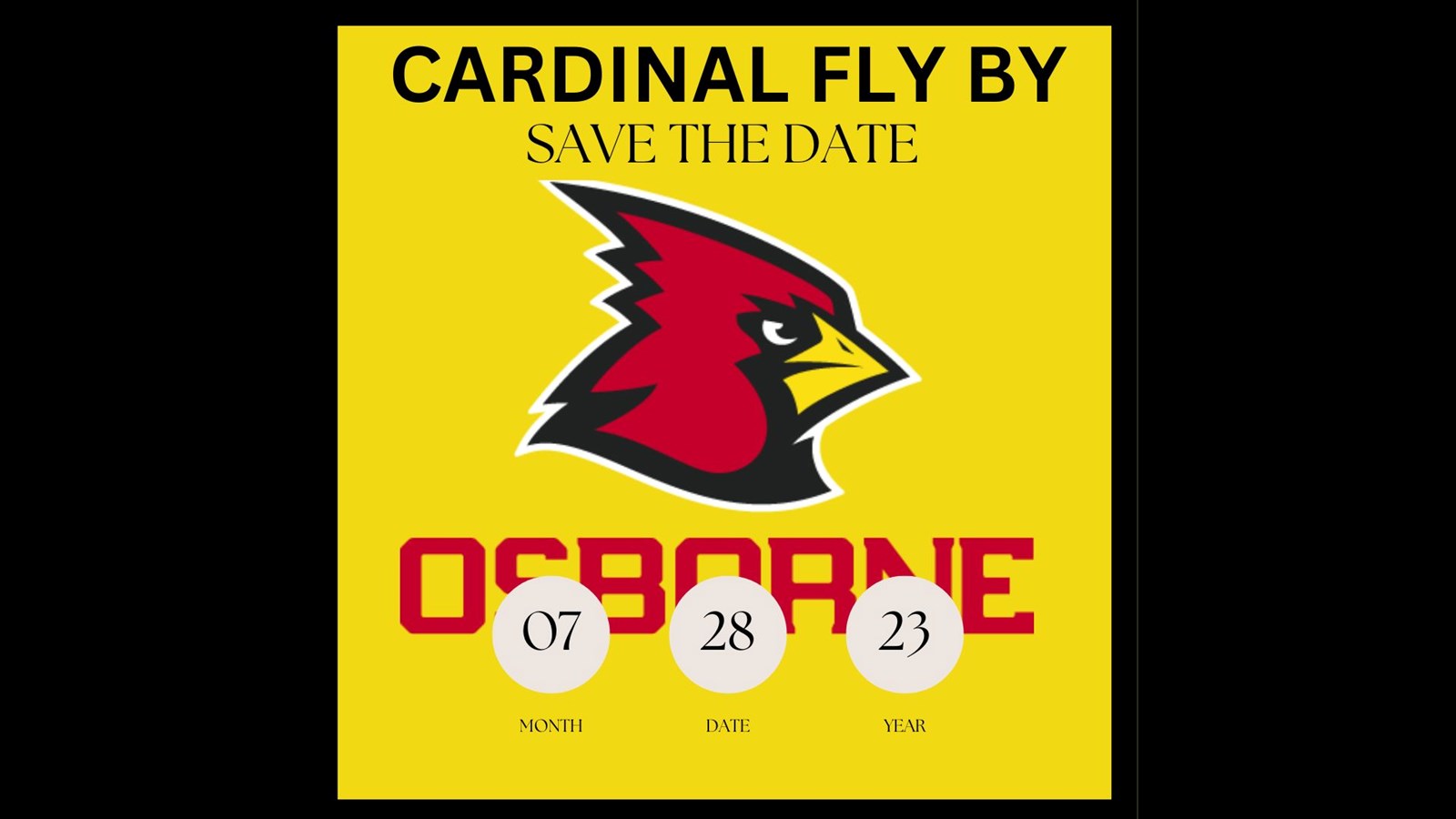 Cardinal Fly By